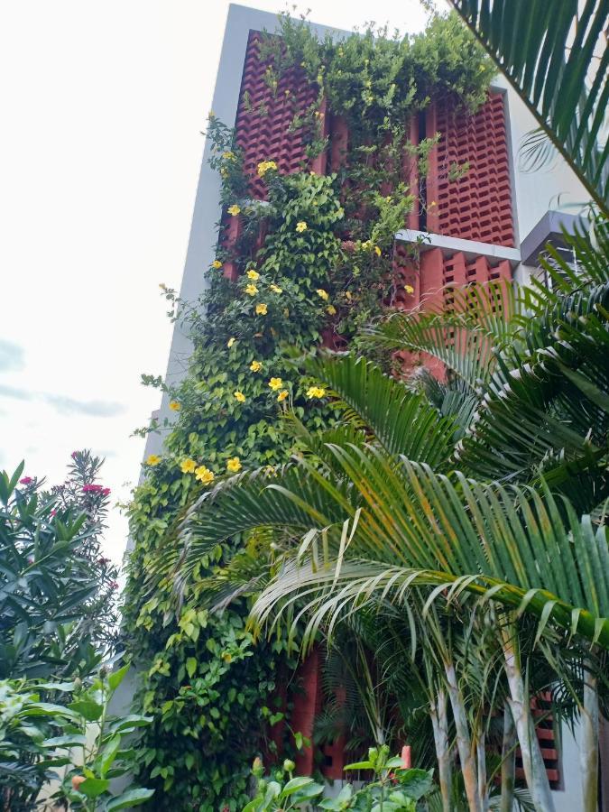 Mango Tree Homestay ฮัมปี ภายนอก รูปภาพ