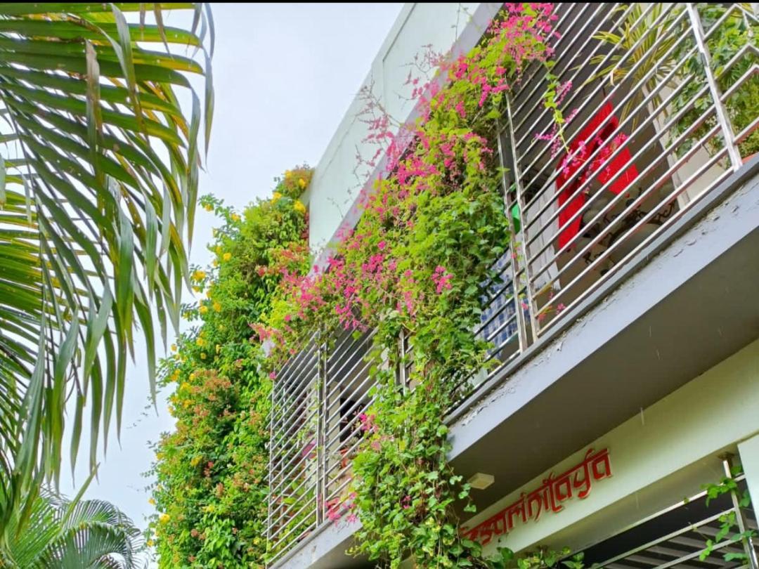 Mango Tree Homestay ฮัมปี ภายนอก รูปภาพ