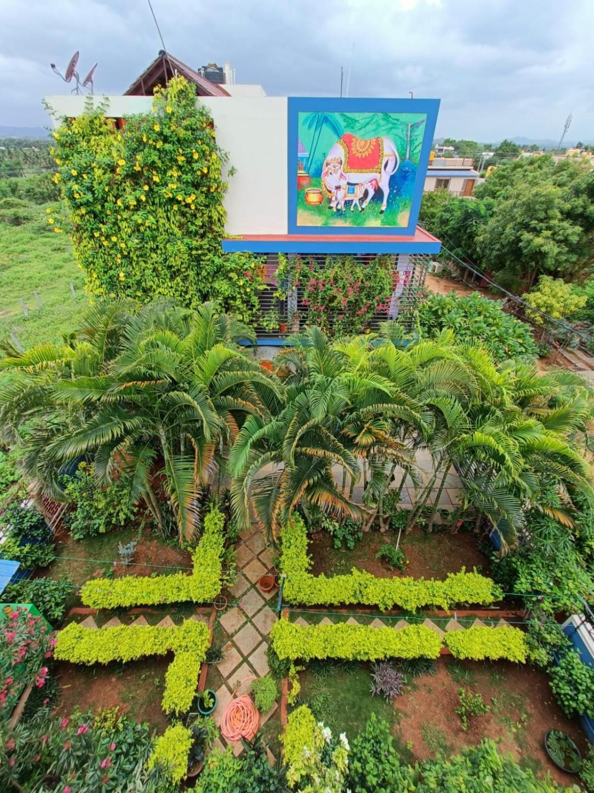 Mango Tree Homestay ฮัมปี ภายนอก รูปภาพ